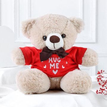 Hug Me Teddy Bear