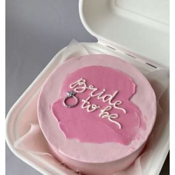 Spectacular Bento Cake