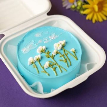 Superb Bento Cake