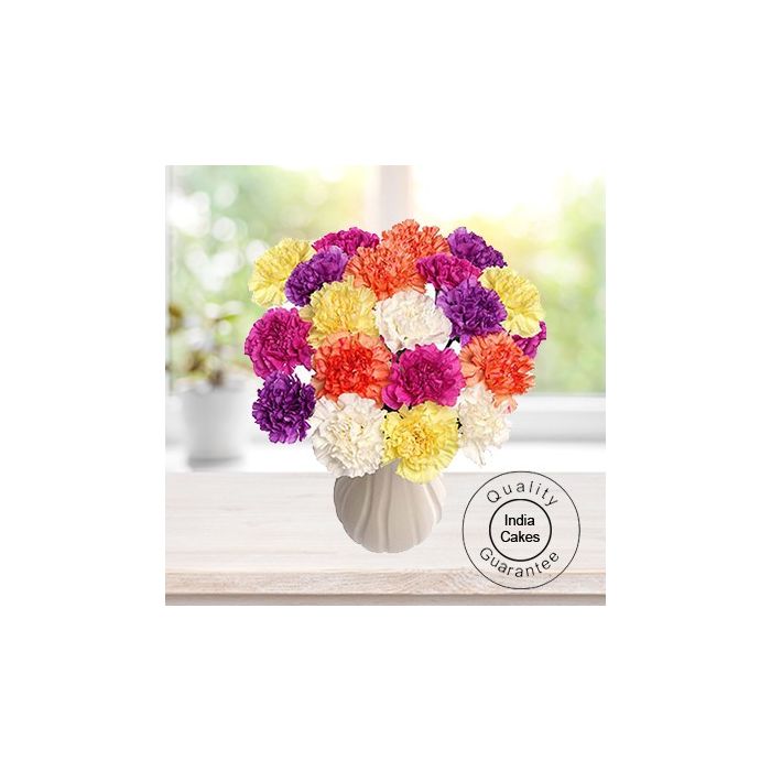 10 MIXED CARNATIONS BUNCH 10 MIXED CARNATIONS BUNCH