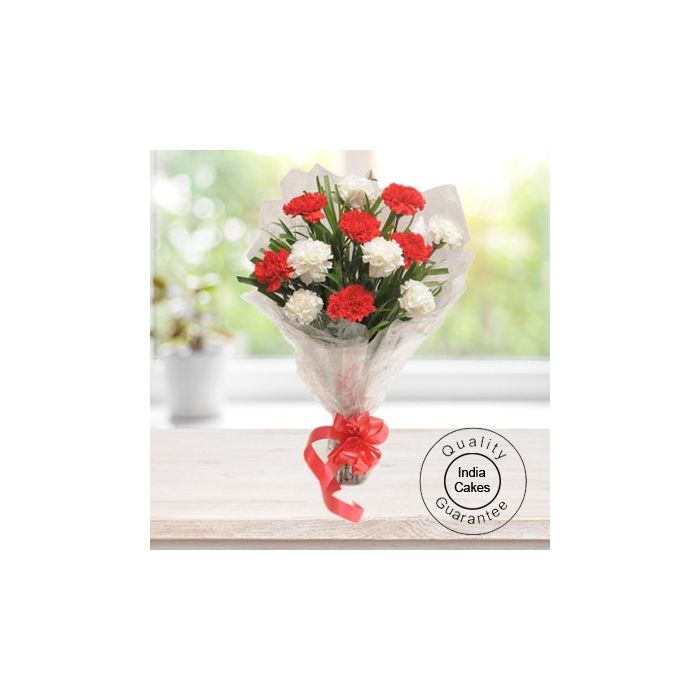12 Red & White Carnations Bunch 12 Red & White Carnations Bunch