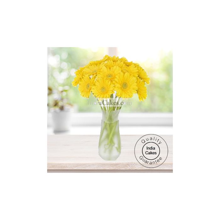 12 YELLOW GERBERAS BUNCH 12 YELLOW GERBERAS BUNCH