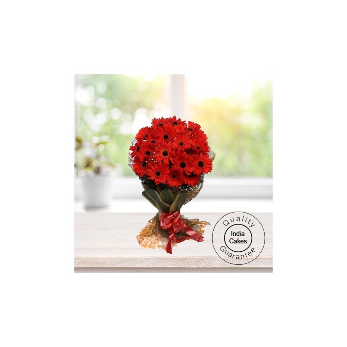 20 RED GERBERAS BUNCH 20 RED GERBERAS BUNCH
