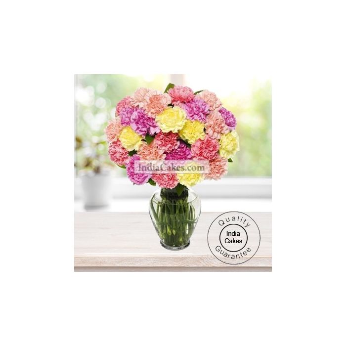 30 MIX CARNATIONS BUNCH 30 MIX CARNATIONS BUNCH