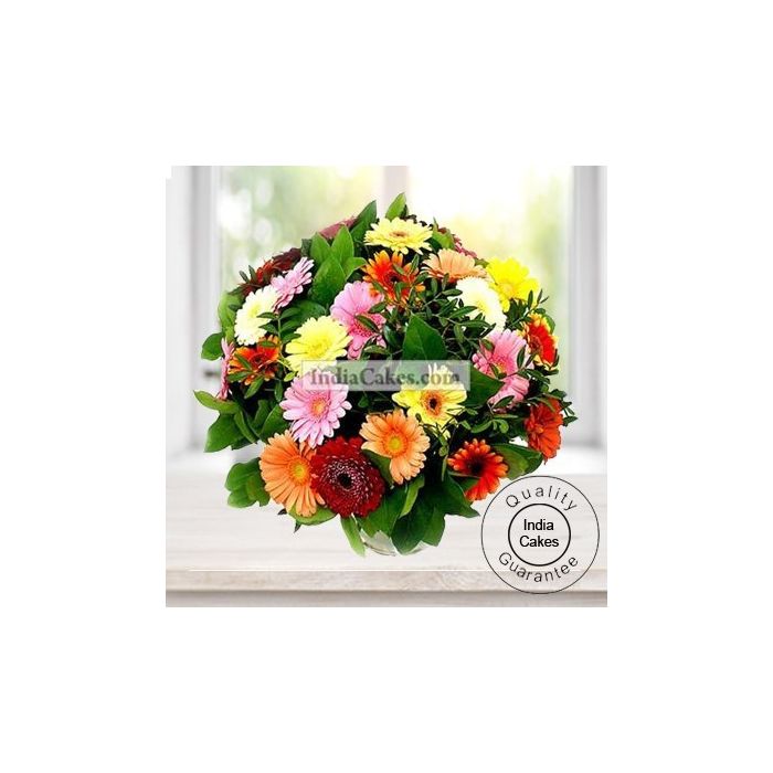 50 Mixed Geberas Bunch 50 Mixed Geberas Bunch