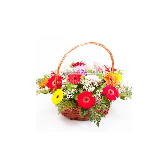 60 Gerberas Basket 60 Gerberas Basket
