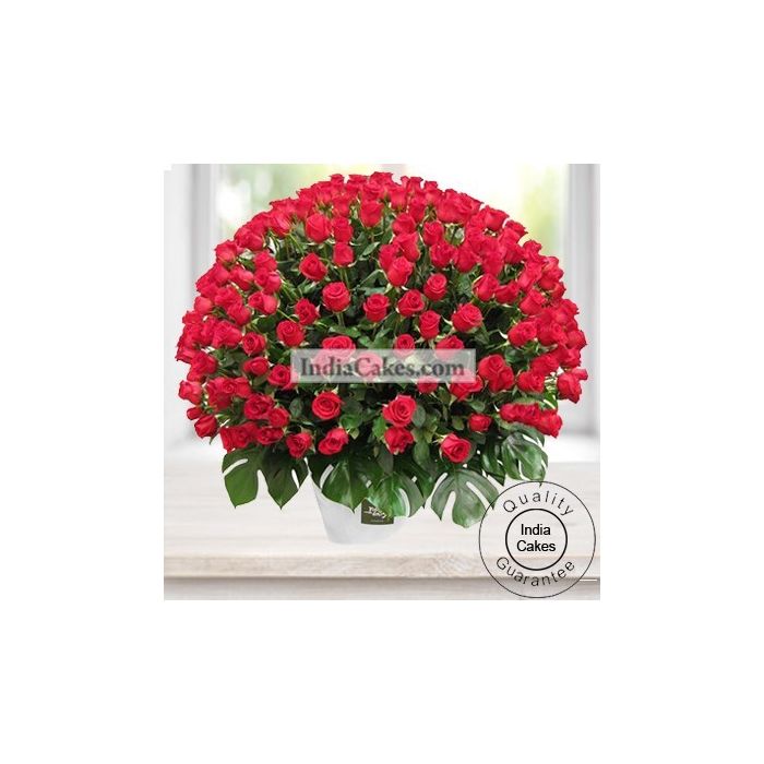 Arrangement of 150 Roses Arrangement of 150 Roses