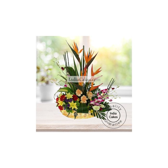 ARRANGEMENT OF GLAMOURING CARNATIONS WITH ORCHIDS AND BOP ARRANGEMENT OF GLAMOURING CARNATIONS WITH ORCHIDS AND BOP