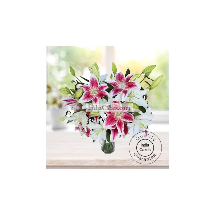 6 STEM OF LILY BUDS AND 12 LOVELY PINK ORIENTAL LILIES BUNCH 6 STEM OF LILY BUDS AND 12 LOVELY PINK ORIENTAL LILIES BUNCH