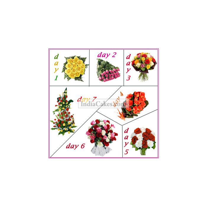 7 Days Package 7 Days Package