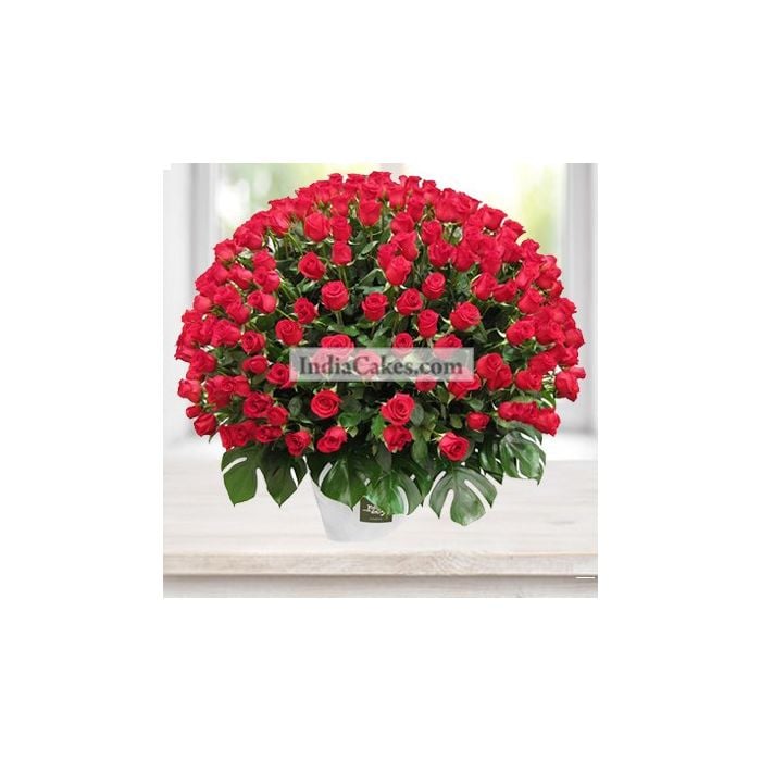 Arrangement of 150 Roses Arrangement of 150 Roses