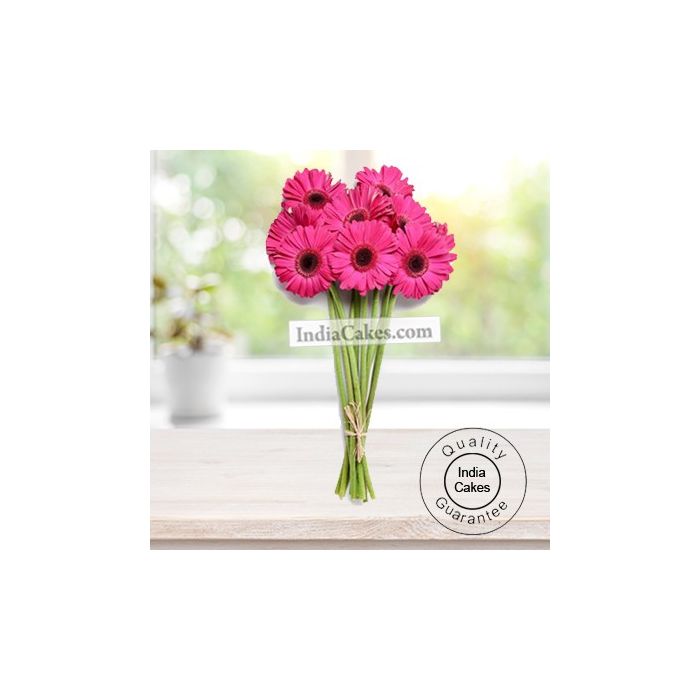 10 PINK GERBERAS BUNCH 10 PINK GERBERAS BUNCH