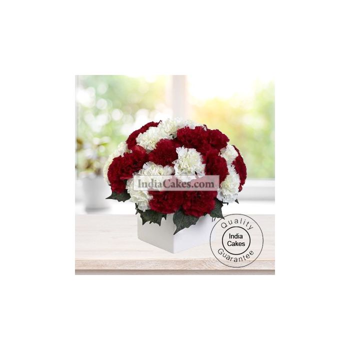 10 RED AND 10 WHITE CARNATIONS BUNCH 10 RED AND 10 WHITE CARNATIONS BUNCH
