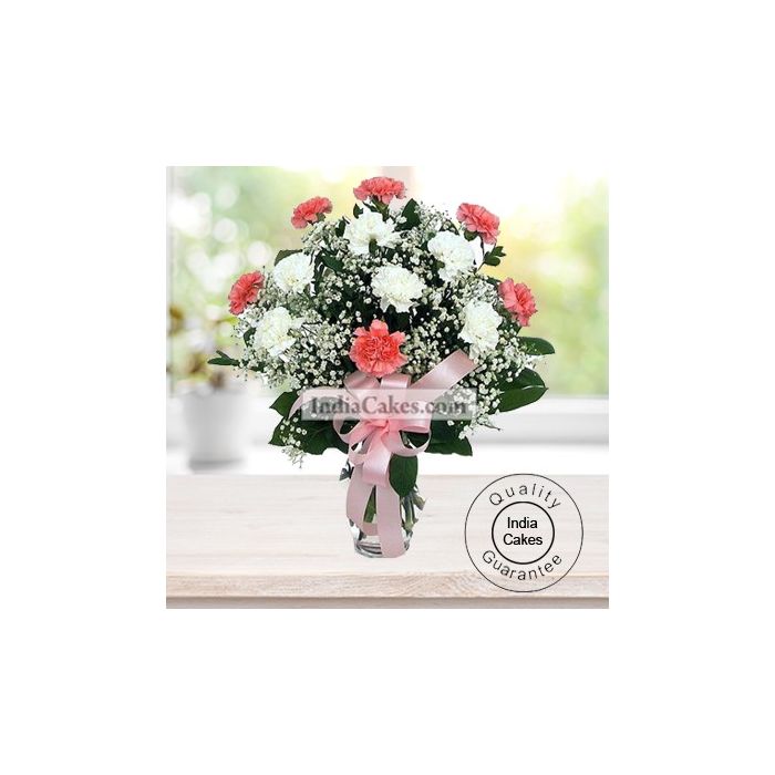 10 PINK AND WHITE CARNATIONS BUNCH 10 PINK AND WHITE CARNATIONS BUNCH