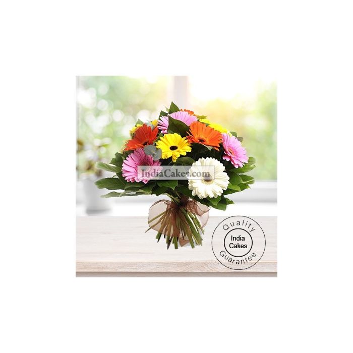 12 MIX GERBERAS BUNCH 12 MIX GERBERAS BUNCH