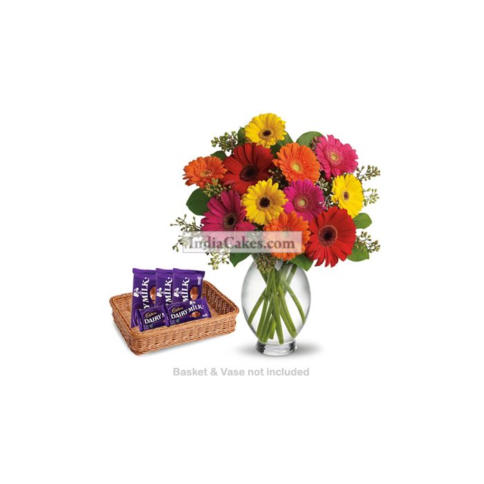 12 Mixed Gerberas Bunch And 5 Cadbury Dairy Milk Chocolates