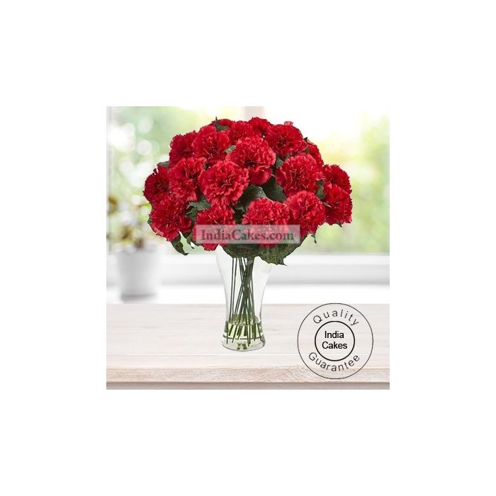 12 RED CARNATIONS WITH GLASS VASE 12 RED CARNATIONS WITH GLASS VASE