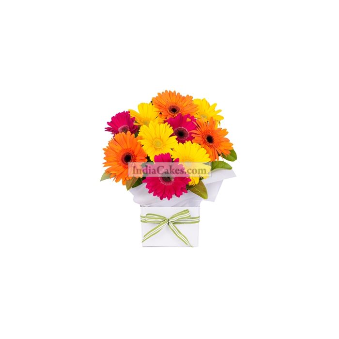 12 Mix Gerberas Arrangement 12 Mix Gerberas Arrangement