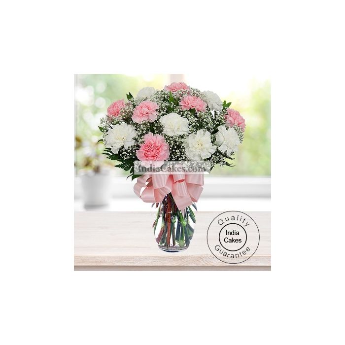 20 PINK AND WHITE CARNATIONS BUNCH