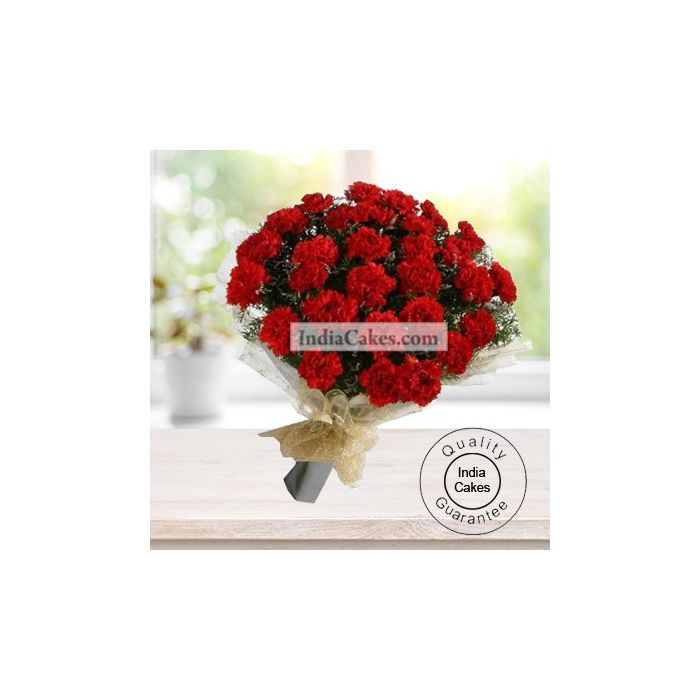 20 RED CARNATIONS BUNCH 20 RED CARNATIONS BUNCH