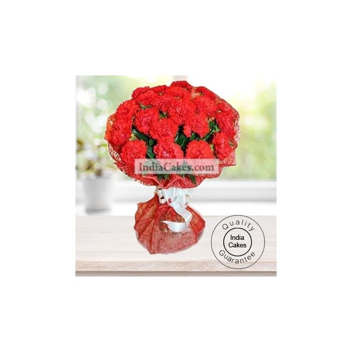 25 RED CARNATIONS BUNCH 25 RED CARNATIONS BUNCH