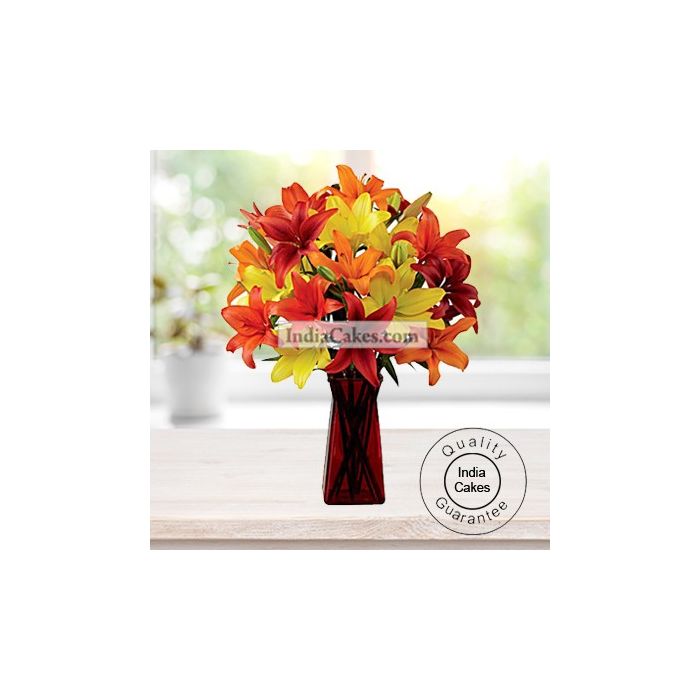 6 MULTIBUDS MIX ASIATIC LILLIUMS 6 MULTIBUDS MIX ASIATIC LILLIUMS