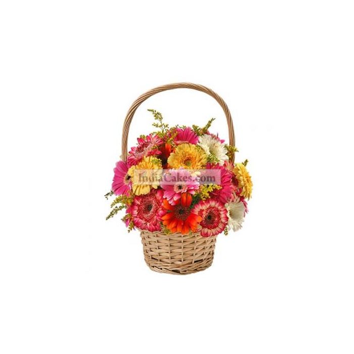75 Gerberas Basket 75 Gerberas Basket