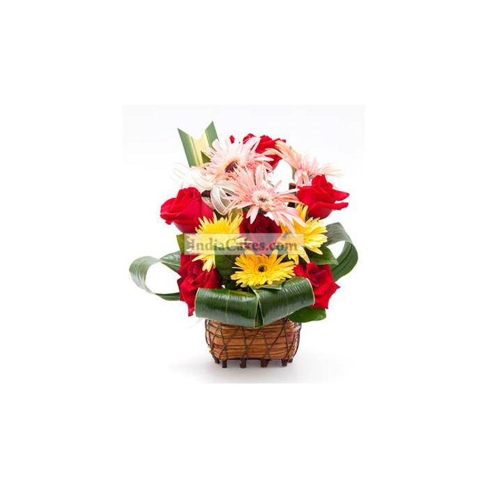 Mixed Gerberas in Basket Mixed Gerberas in Basket