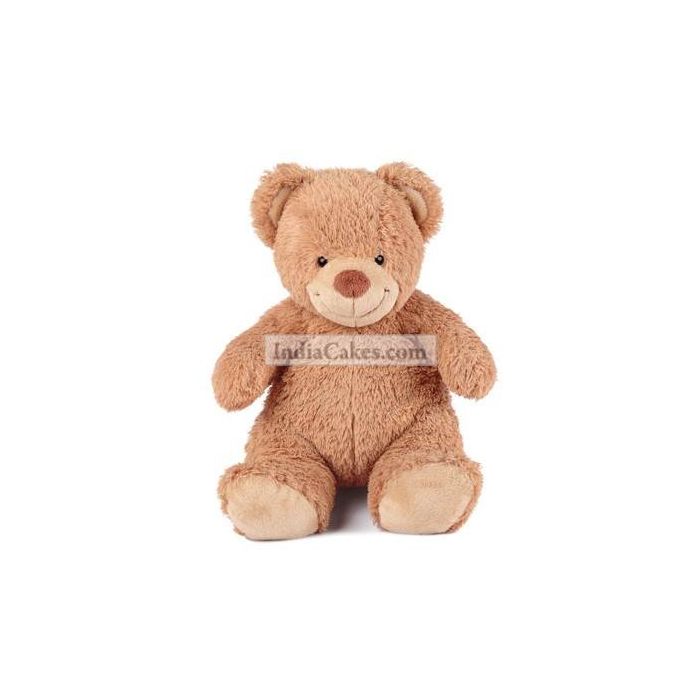 Teddy Bear 6 Inches - Courieredp Teddy Bear 6 Inches - Courieredp
