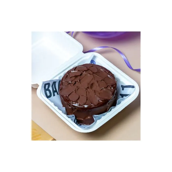 Magnificent Chocolate Bento Cake