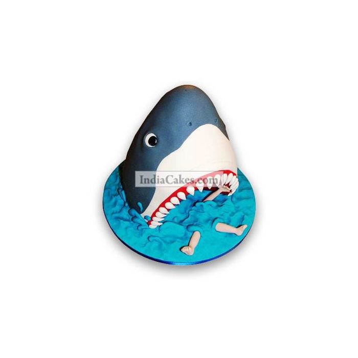 2.5 Kg Shark Cake