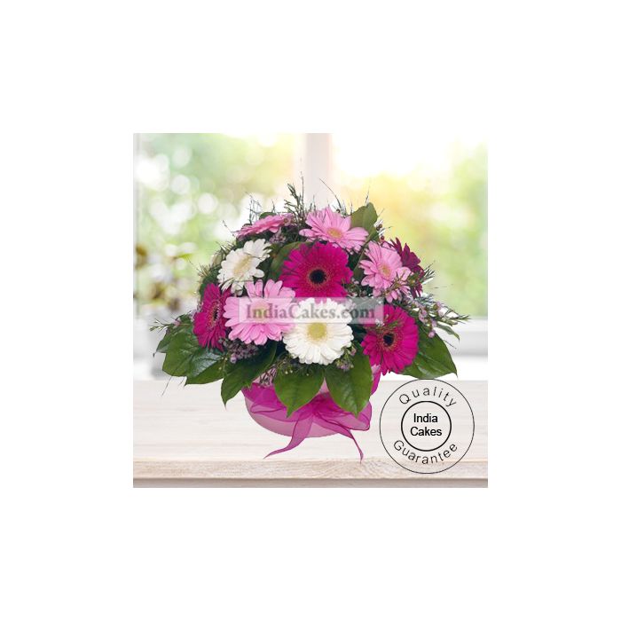 PINK AND WHITE GERBERAS BUNCH PINK AND WHITE GERBERAS BUNCH