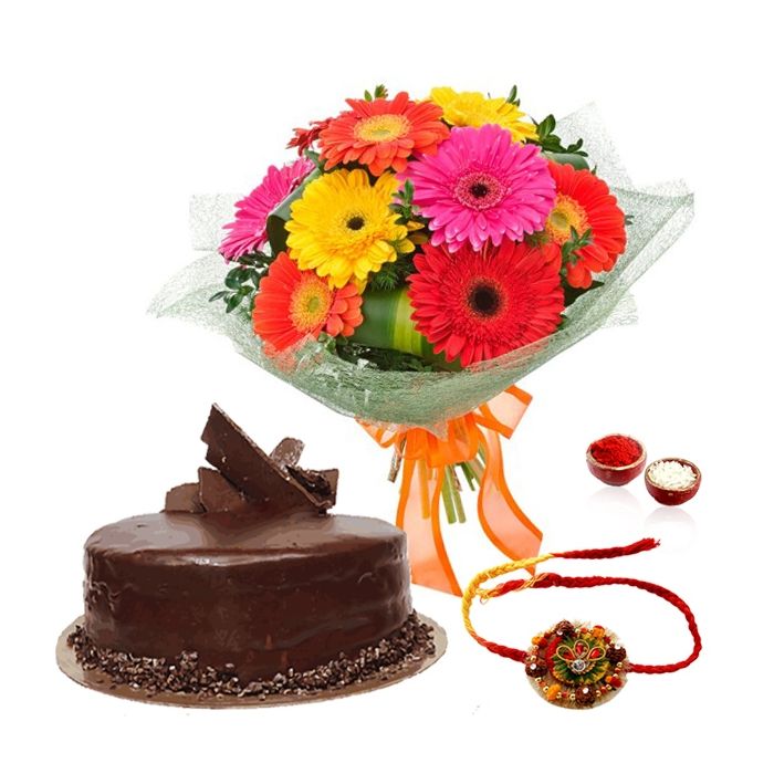 10 Fresh Mix Gerberas Half Kg Chocolate Cake Rakhi 10 Fresh Mix Gerberas Half Kg Chocolate Cake Rakhi