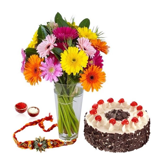 15 Mix Gerberas With Vase Half Kg Black Forest With Rakhi 15 Mix Gerberas With Vase Half Kg Black Forest With Rakhi
