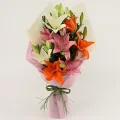 Attractive 6 Mixed Asiatic Lilies Bunch thumbnail